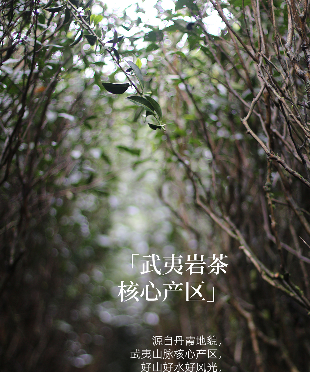 茶详情页_02.jpg